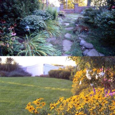 Planting Main Resized Final